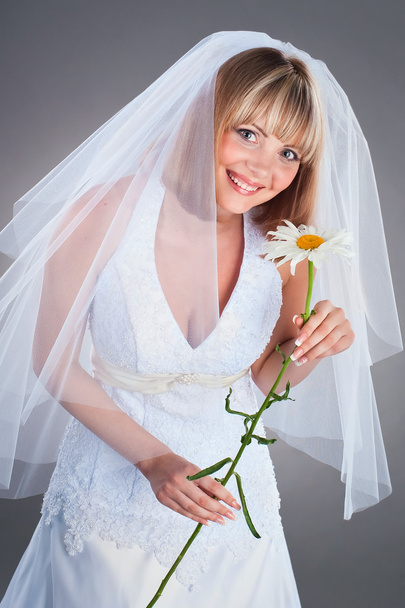 Happy young bride with a chamomille in studio - Foto, imagen