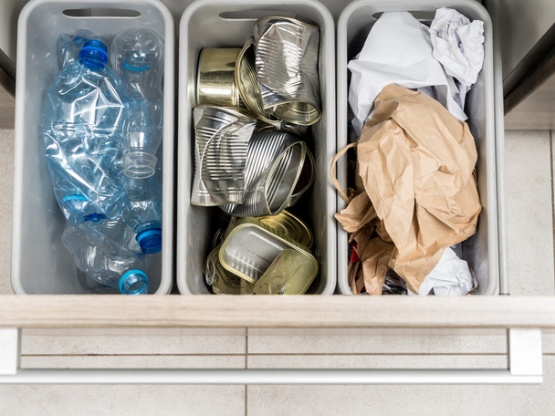 Household garbage segregation - Photo, Image