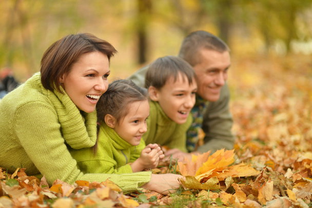 Family relaxing in autumn park - Photo, image