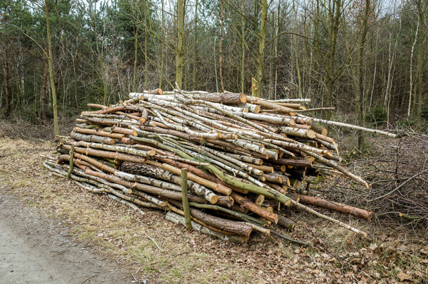 gehakte hout - Foto, afbeelding