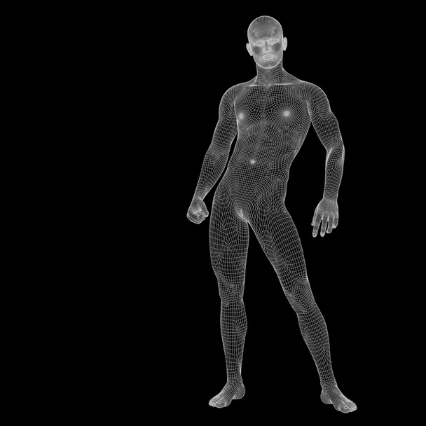 3D human made of white wireframe - Photo, Image