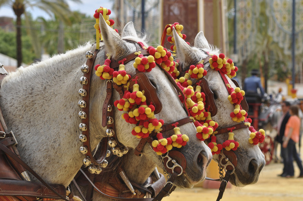 Paarden decked op billijke, Jerez de la Frontera - Foto, afbeelding