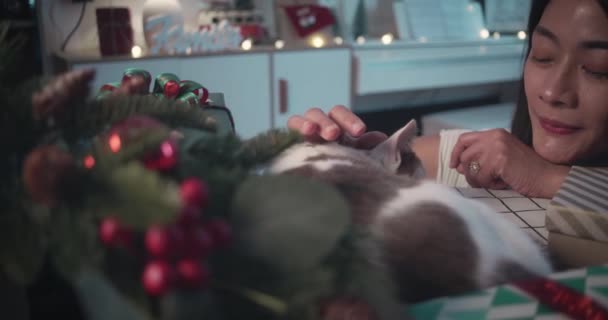Nochebuena mujer acariciando su gato en casa - Metraje, vídeo