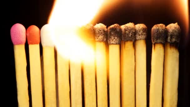 Safety matches showing burnt - Imágenes, Vídeo