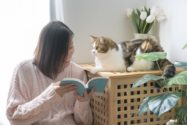 gato cuidado concepto con asiático mujer leer libro y jugar con escocés tabby gato en casa - Foto, Imagen