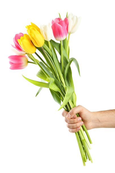 Male hand holding beautiful tulips - Fotó, kép