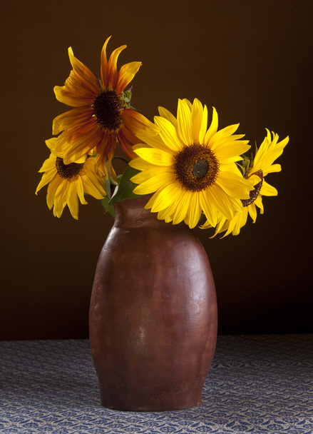 Arrangement of sunflowers. - Zdjęcie, obraz