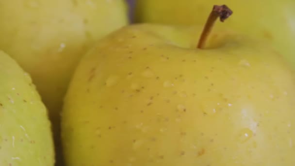 Friss zöld alma. A forgó gyümölcsök makrofelvételei. - Felvétel, videó