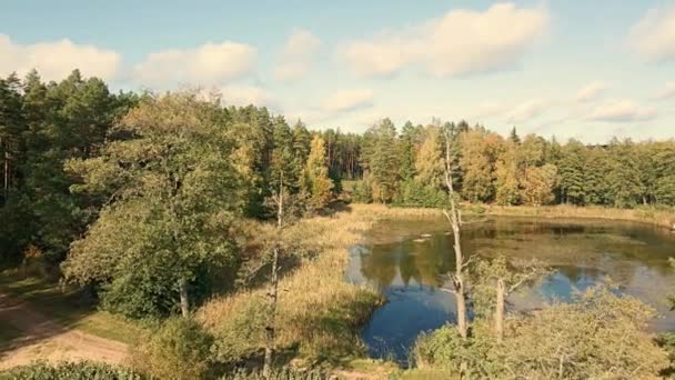 晴れた秋のポドレーシーのキニシン森の真ん中の湖の空中ビュー. - 映像、動画