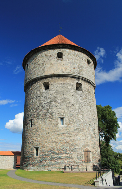 OLD TIME TOWER IN ESTONIA - 写真・画像