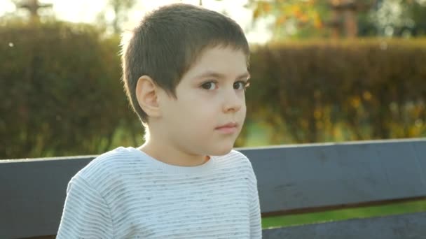 Egy mosolygó hatéves fiú portréja egy őszi parkban. Boldog gyermekkort!. - Felvétel, videó