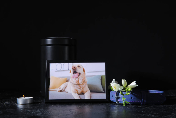Moldura com imagem de cão, coleira, vela ardente e flores no fundo escuro. funeral de animais - Foto, Imagem
