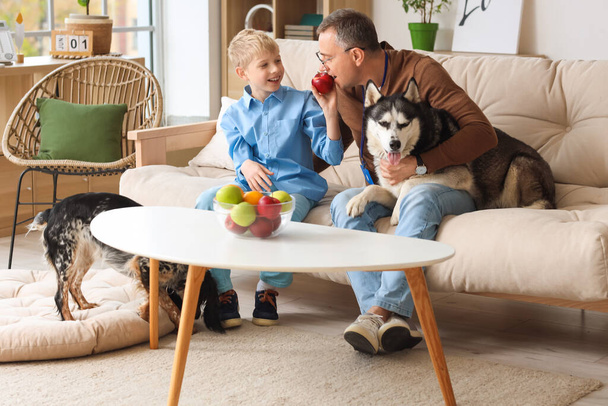 Reifer Arzt mit kleinem Sohn und Husky-Hund zu Hause - Foto, Bild
