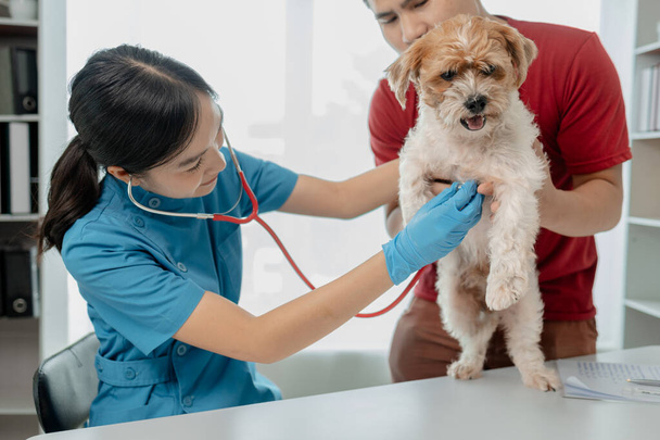 A kutya gazdája elvitte a kutyát a kórházba, hogy vizsgálja meg egy állatorvos oka a betegsége, Volt egy kutya az asztalon, és alaposan megvizsgálta az állatorvos. - Fotó, kép