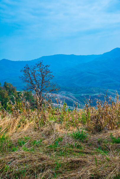Vistas a la montaña en la provincia de Phayao, Tailandia. - Foto, imagen