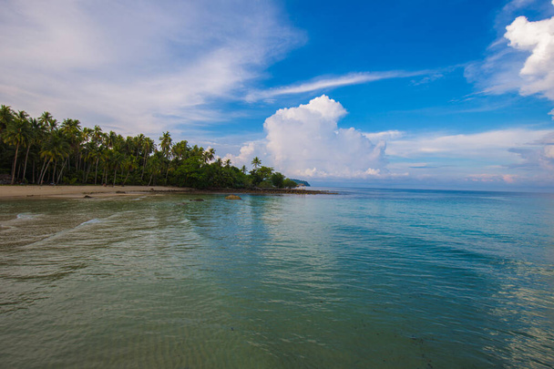 Deniz dalgası kumsal mavi gökyüzü Hindistan cevizi palmiyeleri ile egzotik ada yaz tatili doğa arka planı - Fotoğraf, Görsel