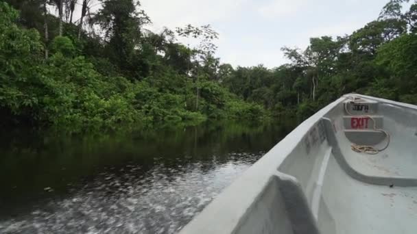 widok na wodę od strony motorówki w dół tropcial rzeki w dżungli Cuyabeno dzikiej przyrody kurortu przez lasy deszczowe regionu Amazonii w Ekwadorze. - Materiał filmowy, wideo