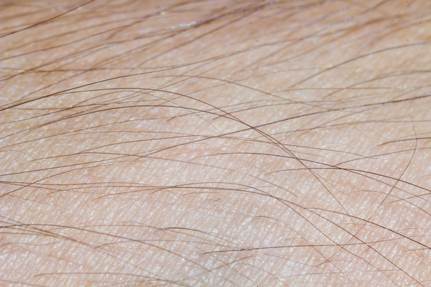 Текстура кожи человека
 - Фото, изображение