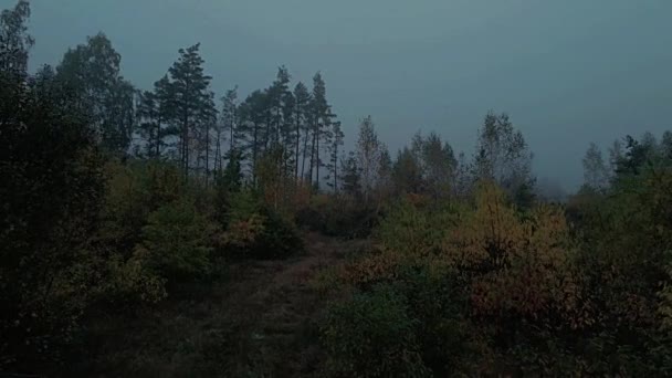 Brouillard matinal dans la forêt et sur les champs de Podlasie aux couleurs automnales. - Séquence, vidéo