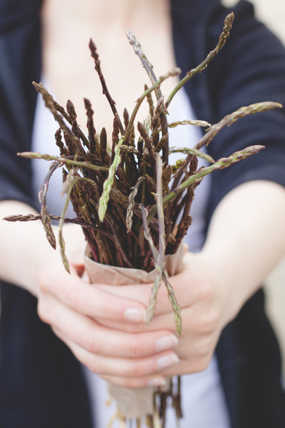 Fresh wild asparagus - Fotografie, Obrázek