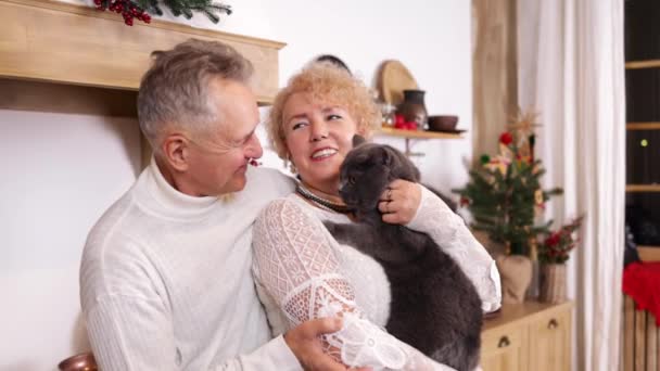 Seniorenpaar streichelt Katze als Haustier für Kameradschaft und gegen Einsamkeit. - Filmmaterial, Video