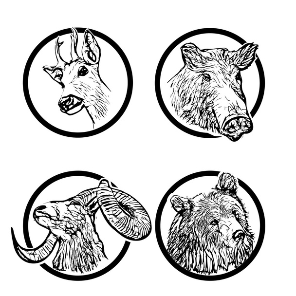 animaux forestiers anneaux 1
 - Vecteur, image