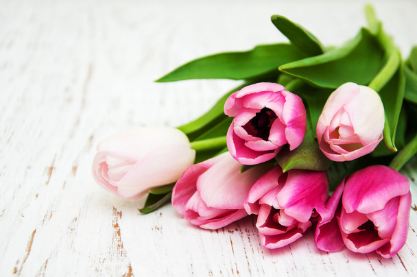 bouquet of pink tulips - Photo, Image