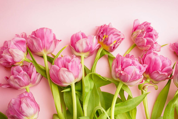 Tulipanes de peonía rosa fresca sobre fondo rosa pastel, primer plano. Concepto festivo para el Día de la Madre o San Valentín. Tarjeta de felicitación, vista superior, formato de banner. - Foto, imagen