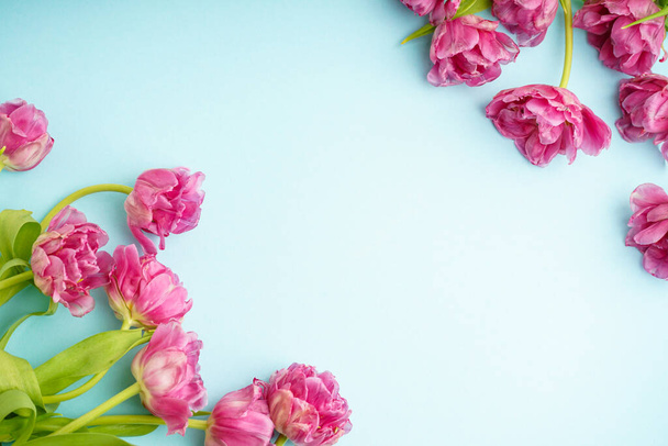Tulipani freschi di peonia rosa su sfondo blu pastello con spazio per il testo. Concetto festivo per la festa della mamma o San Valentino. Biglietto di auguri, formato banner, vista dall'alto. - Foto, immagini