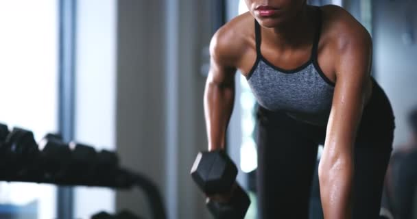 Dumbbell σειρά, ιδρώτα και φυσική κατάσταση των γυναικών βραχίονα άσκηση, μυϊκή ανάπτυξη ή άρσης βαρών πάγκου εξοπλισμού, πρόκληση ή δραστηριότητα. Σκληρή δουλειά, bodybuilding και αποφασισμένη γυναίκα οικοδόμος σώμα κατάρτιση των μυών. - Πλάνα, βίντεο