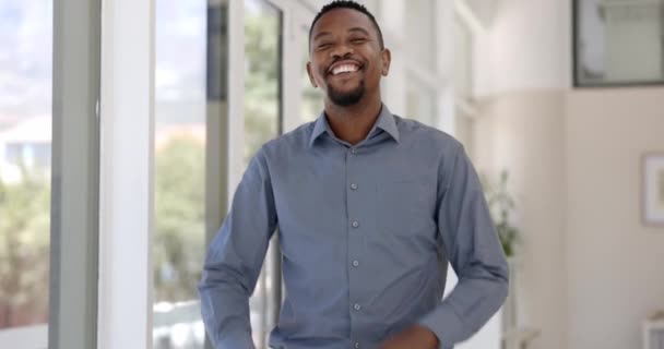 Onnellinen, kasvot ja musta mies kädet ristissä toimistossa liiketoiminnan, rahoitusalan työtä ja luottamusta. Afrikkalaisen kirjanpitäjän hymy, yrityskuva ja muotokuva, joka on ylpeä taloudellisesta urasta työpaikalla. - Materiaali, video