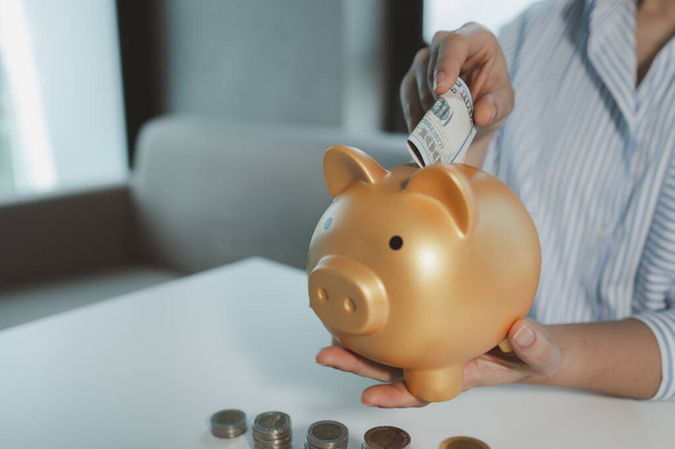 Muhasebeci domuz kumbarasına para yatırıyor, Financier tavsiye almaya gelen müşterilere tasarruf yöntemleri getiriyor, çalışanlar müşterilerin tasarruflarını alıyor ve onları güvende tutuyor.. - Fotoğraf, Görsel