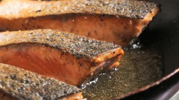 Čerstvé červené rybí filety s kořením. Lososí filet maso je smažené na slunečnicovém oleji v pánvi, zblízka, zpomalený pohyb. - Záběry, video