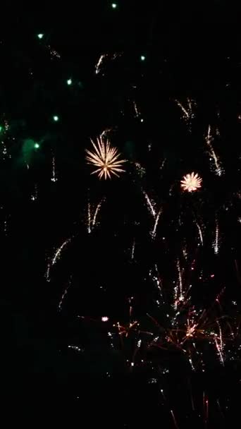 "Indrukwekkende vakantie kleurrijke glitz helder vuurwerk fontein in de nachtelijke hemel. Verticale oriëntatie. Begrip onafhankelijkheidsdag - Video