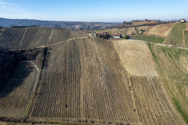 letecký drone photo crawled tractor working through wine yards rows during winter time in Arda Valley high res photo - Fotografie, Obrázek