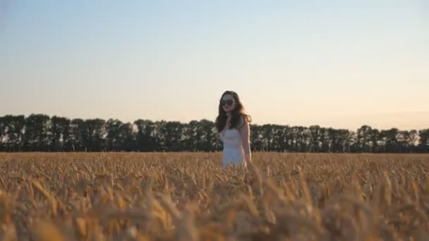 Side view to attractive woman walking through wheat field at sunny day. Camera tracking girl enjoying summer nature on meadow with ripe golden crop ears. Freedom concept. Slow motion Dolly shot. - Materiał filmowy, wideo