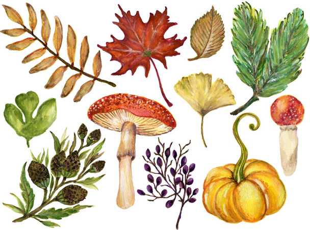 Colorido gouache acuarela Otoño Ramas de otoño con hojas y animales, Vegetal Ilustración dibujada a mano Diseño para invitaciones de boda tarjetas de felicitación - Foto, imagen