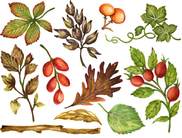 Colorido gouache acuarela Otoño Ramas de otoño con hojas y animales, Vegetal Ilustración dibujada a mano Diseño para invitaciones de boda tarjetas de felicitación - Foto, imagen