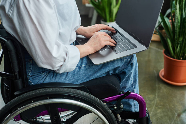 przycięty widok dedykowanej bizneswoman na wózku inwalidzkim patrząc na jej laptopa w miejscu pracy - Zdjęcie, obraz