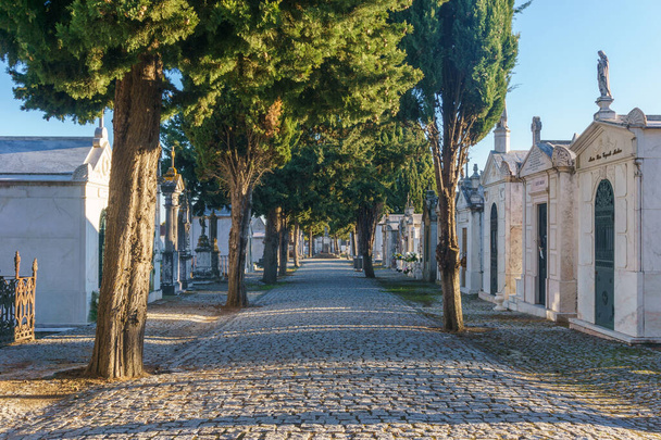 Hermoso cementerio tradicional portugués Cemiterio de Evora con tumbas y lápidas hechas de mármol blanco, Evora, Alentejo, Portugal - Foto, imagen