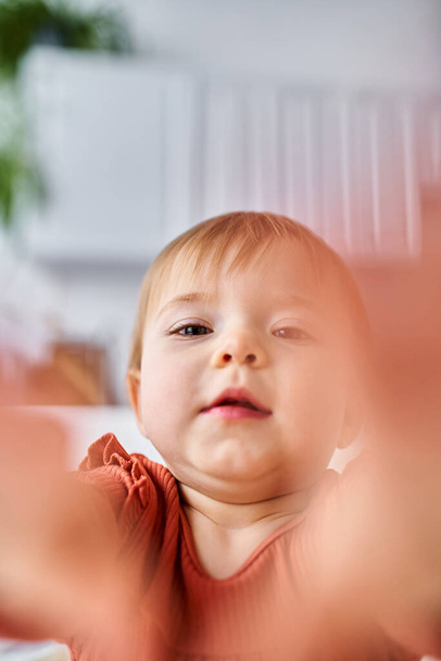 lähikuva söpö viehättävä vauva tyttö oranssi pusero yrittää tavoittaa kameran käsillään - Valokuva, kuva