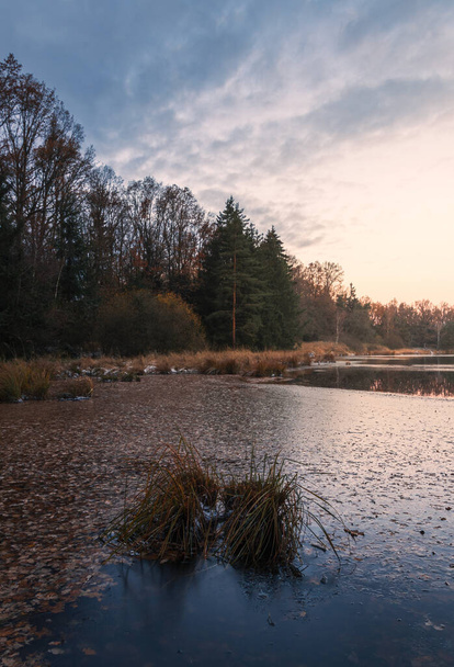 Gefrorenes Herbstblatt im kleinen Teich. Blaue Stunde, Sonnenaufgang tschechische Landschaft - Foto, Bild