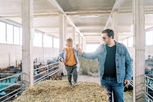 Papá cogiendo la mano de una niña caminando sobre una paca de heno en la granja. Foto de alta calidad - Foto, imagen