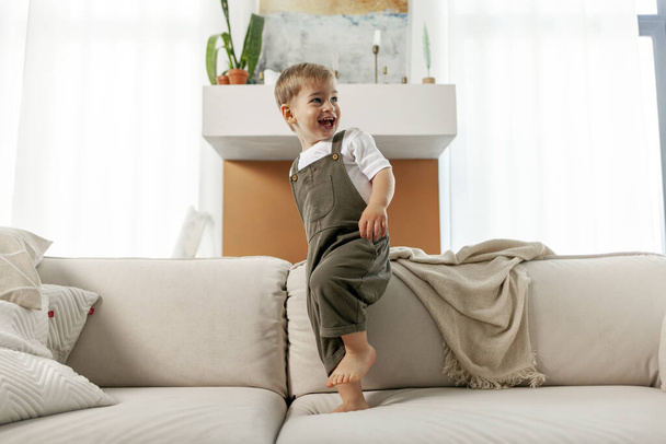 pieni poika 2-vuotias seisoo pehmeällä mukavalla sohvalla kotona ja nauraa, onnellinen lapsi hymyilee ja katsoo pois, kopioi tilaa - Valokuva, kuva