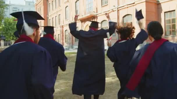Tracking shot, back view di studenti in cappelli e camici universitari che celebrano la laurea nel campus - Filmati, video