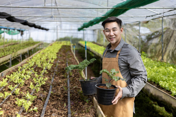 Aile işi için organik toprak yaklaşımını kullanarak serada salata yetiştiren Asyalı çiftçinin portresi. - Fotoğraf, Görsel
