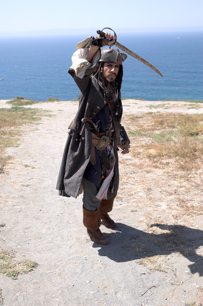 pirate d'atterrissage - Photo, image
