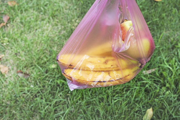 pitää banaaneja kertakäyttöisessä muovipussissa. ympäristöekologien. ostokset myymälässä - Valokuva, kuva