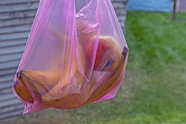 κρατήστε τις μπανάνες σε μια πλαστική σακούλα μιας χρήσης. περιβαλλοντικοί οικολόγοι. Ψώνια σε ένα κατάστημα - Φωτογραφία, εικόνα