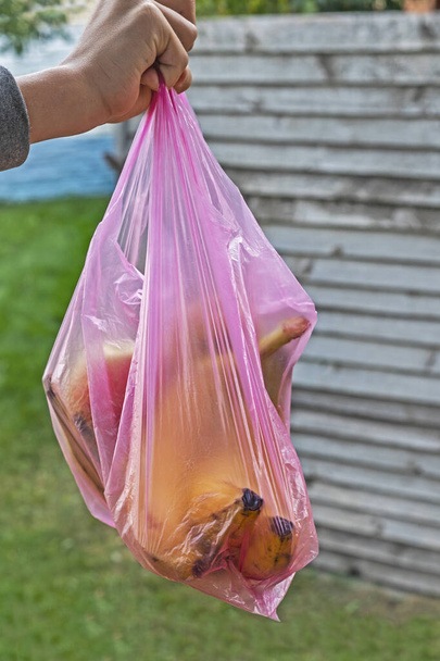 guardar los plátanos en una bolsa de plástico desechable. ecologistas ambientales. compras en una tienda - Foto, Imagen